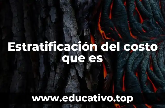 Estratificación del costo que es