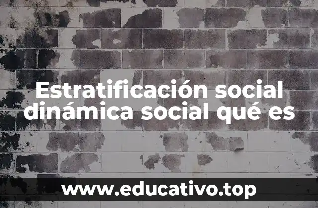 Estratificación social dinámica social qué es