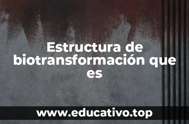 Estructura de biotransformación que es