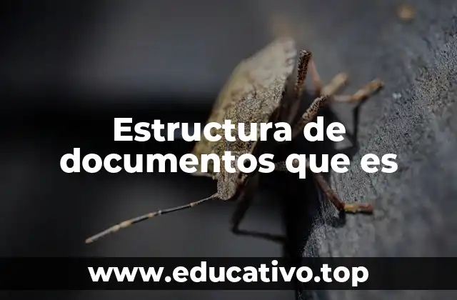 Estructura de documentos que es