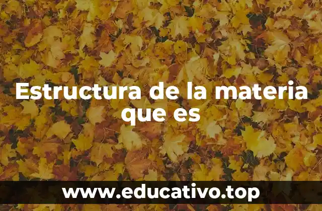 Estructura de la materia que es