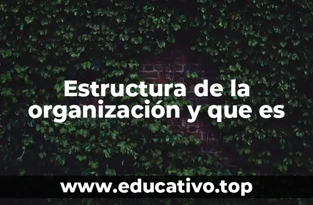 Estructura de la organización y que es
