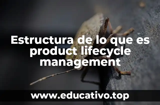 Estructura de lo que es product lifecycle management