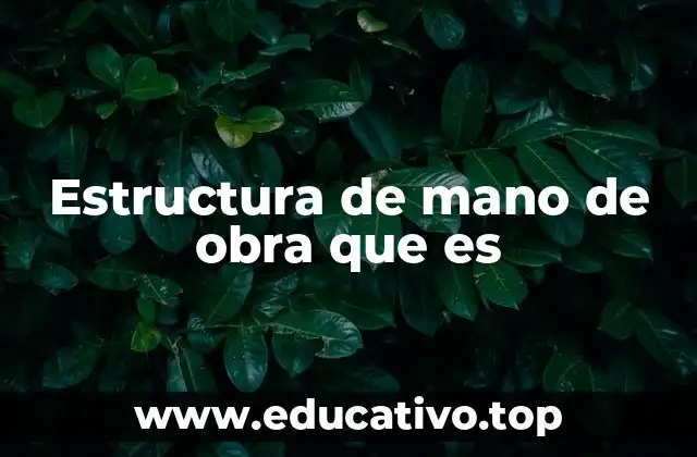 Estructura de mano de obra que es
