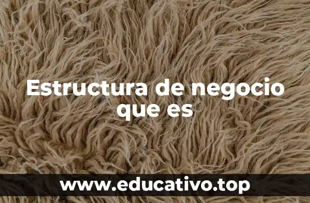 Estructura de negocio que es