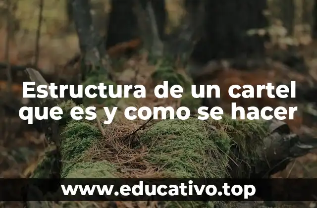 Estructura de un cartel que es y como se hacer