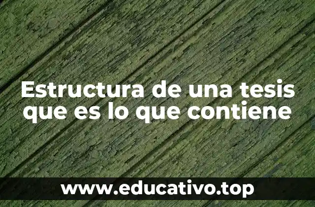 Estructura de una tesis que es lo que contiene
