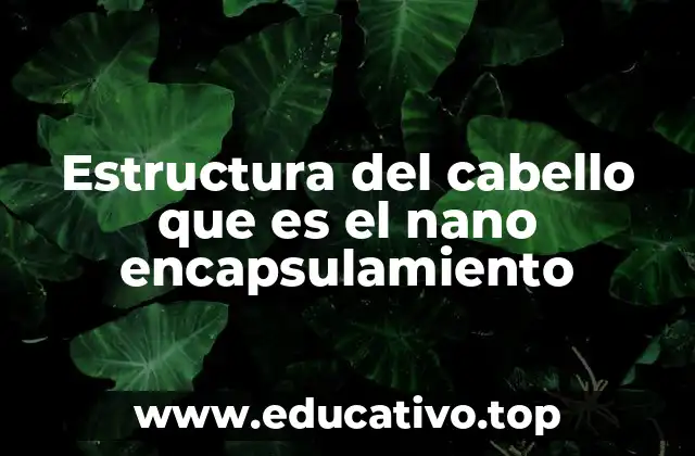 Estructura del cabello que es el nano encapsulamiento