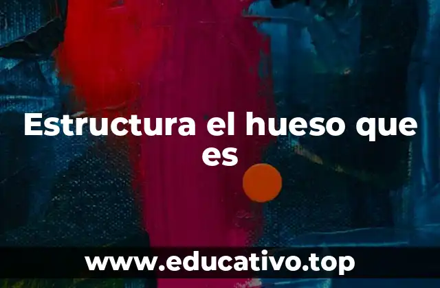 Estructura el hueso que es