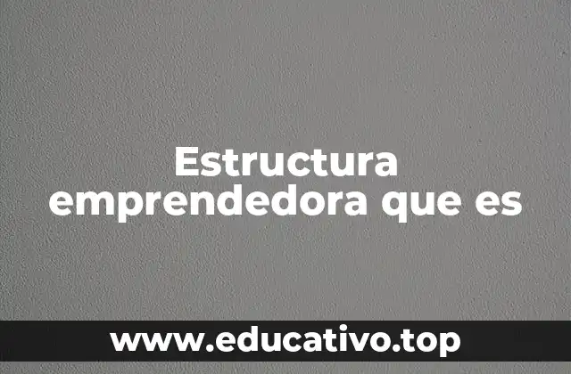 Estructura emprendedora que es