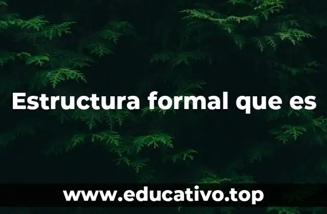 Estructura formal que es