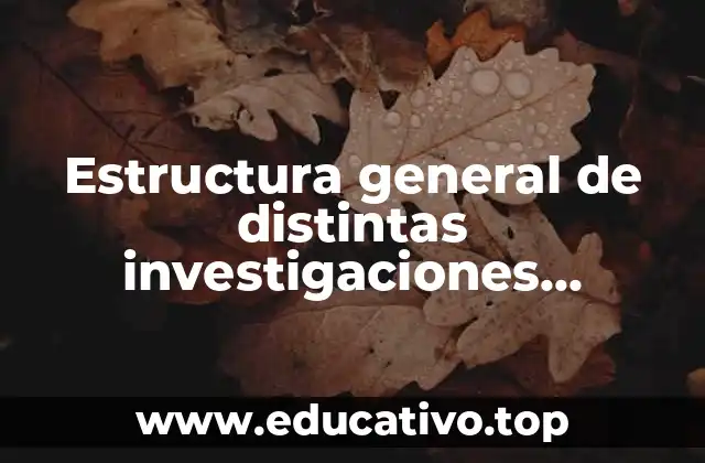 Estructura general de distintas investigaciones cualitativas que es