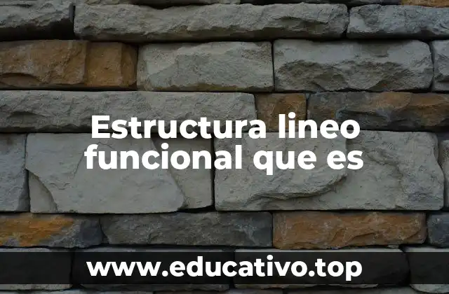 Estructura lineo funcional que es