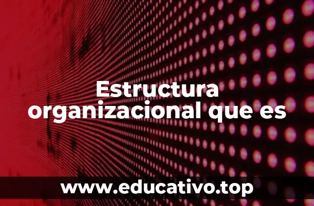 Estructura organizacional que es