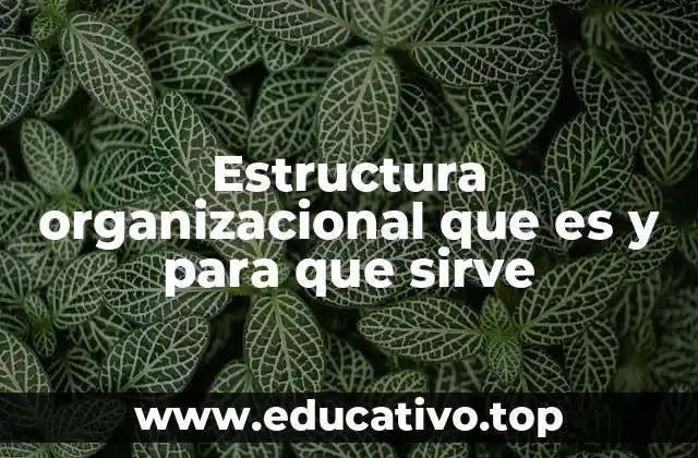 Estructura organizacional que es y para que sirve