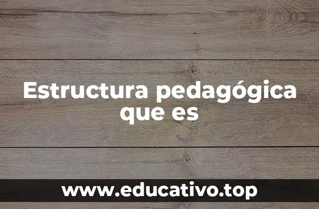 Estructura pedagógica que es