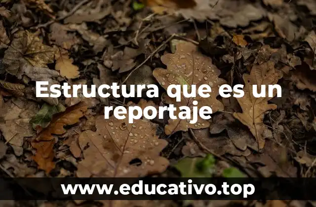 Estructura que es un reportaje