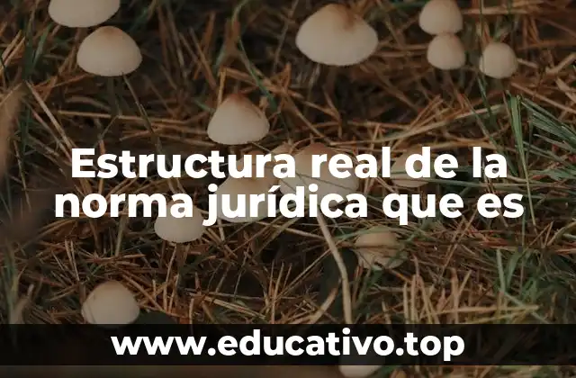 Estructura real de la norma jurídica que es
