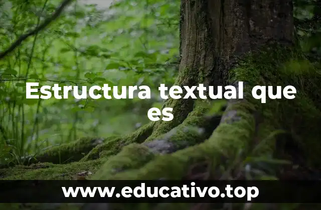 Estructura textual que es