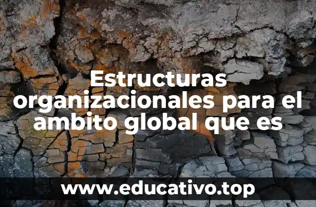 Estructuras organizacionales para el ambito global que es