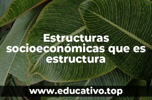 Estructuras socioeconómicas que es estructura