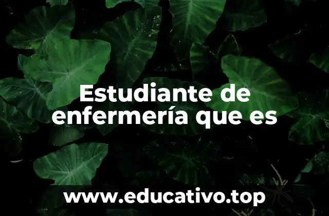Estudiante de enfermería que es