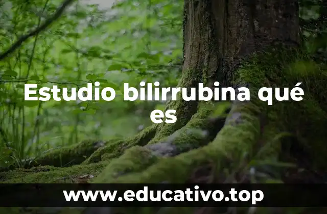 Estudio bilirrubina qué es