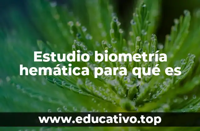Estudio biometría hemática para qué es