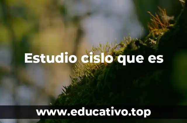 Estudio cislo que es