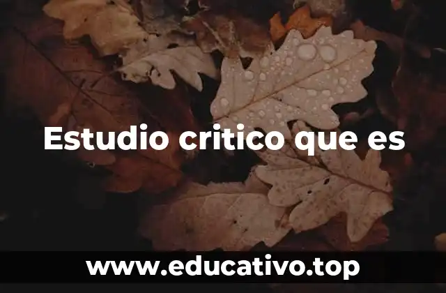 Estudio critico que es