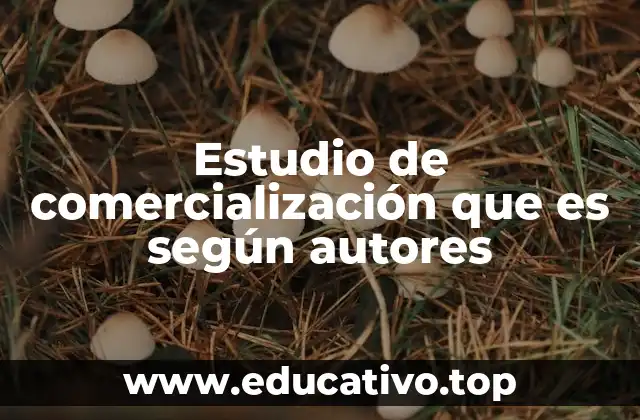 Estudio de comercialización que es según autores