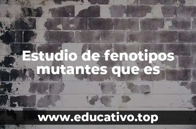 Estudio de fenotipos mutantes que es