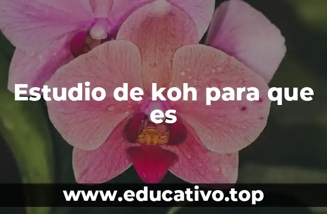 La importancia del dibujo en la evaluación psicológica