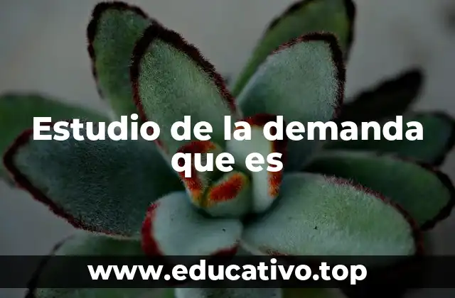 Estudio de la demanda que es
