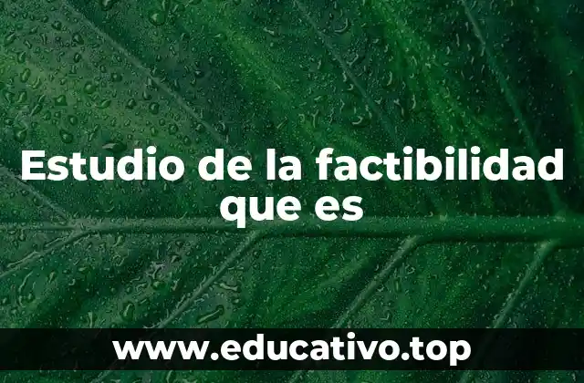 Estudio de la factibilidad que es