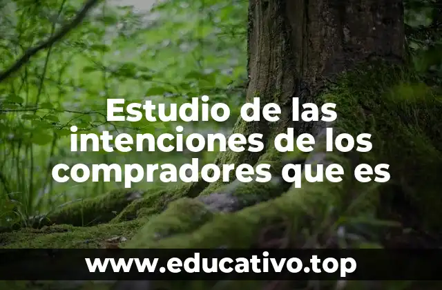 Estudio de las intenciones de los compradores que es