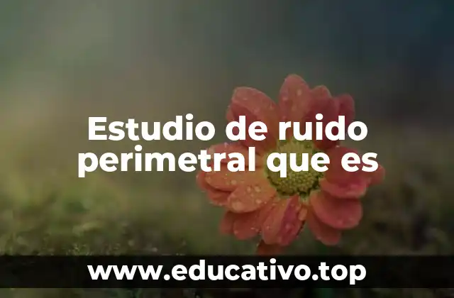 Estudio de ruido perimetral que es