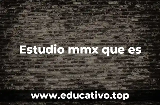 Estudio mmx que es