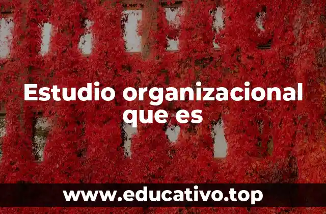 El análisis interno como base del estudio organizacional