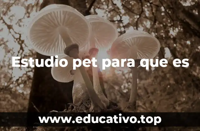 Estudio pet para que es