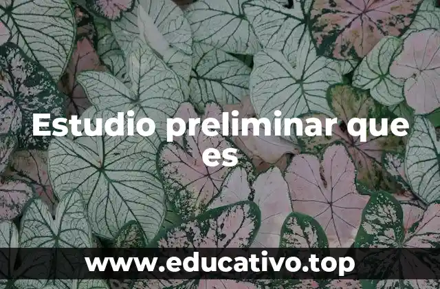 Estudio preliminar que es