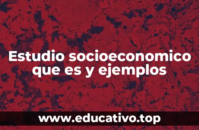 El papel de los estudios socioeconómicos en la toma de decisiones