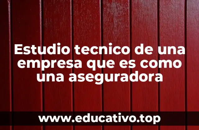 Estudio tecnico de una empresa que es como una aseguradora