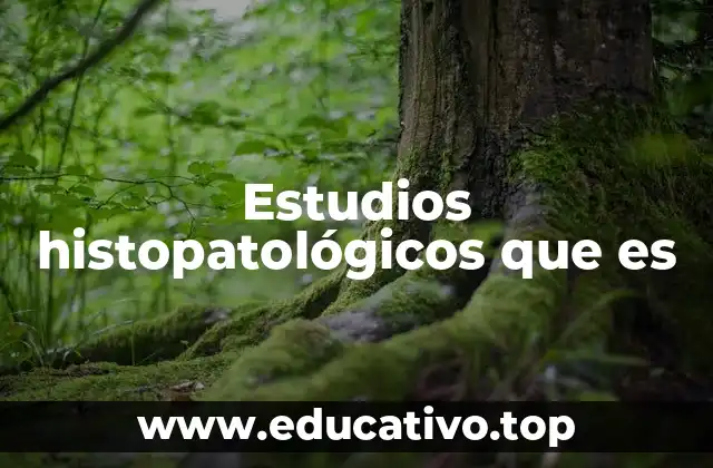 La importancia de analizar tejidos para el diagnóstico médico