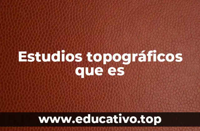 Estudios topográficos que es