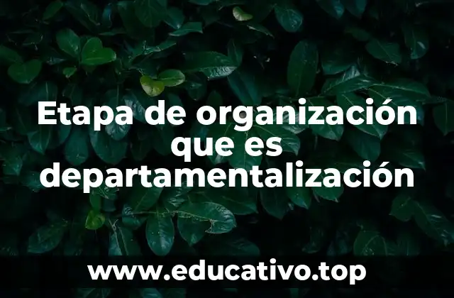 Etapa de organización que es departamentalización