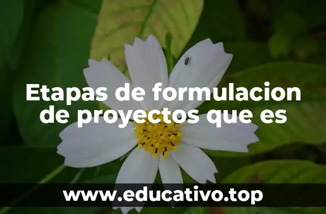 Etapas de formulacion de proyectos que es