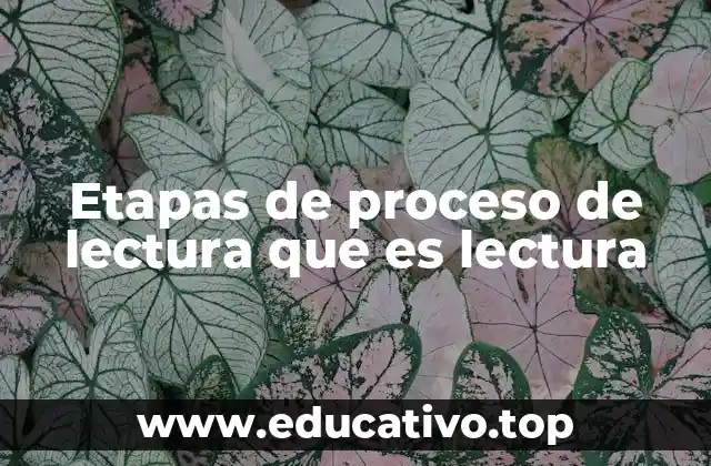 Etapas de proceso de lectura que es lectura