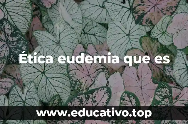 Ética eudemia que es