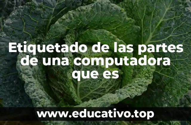 Etiquetado de las partes de una computadora que es